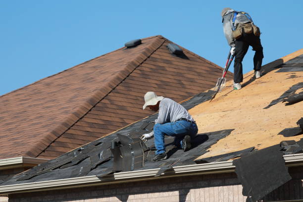 Best Storm Damage Roof Repair  in Elkhart, TX